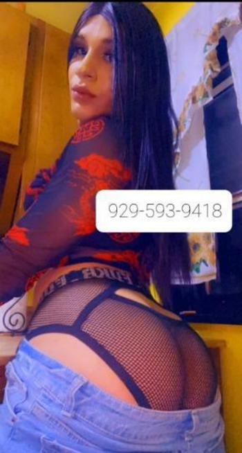 9295939418, transgender escort, Bronx