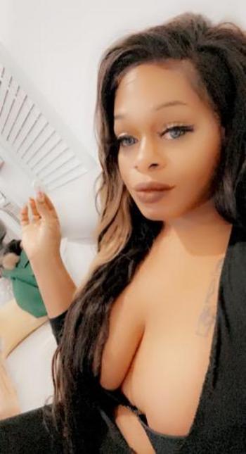 3476904979, transgender escort, Bronx