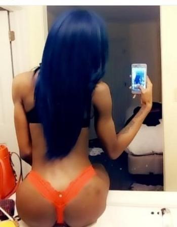 3322033744, transgender escort, Bronx