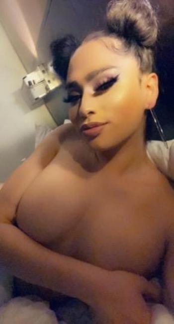 3476960786, transgender escort, Bronx