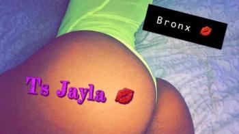 4079725708, transgender escort, Bronx