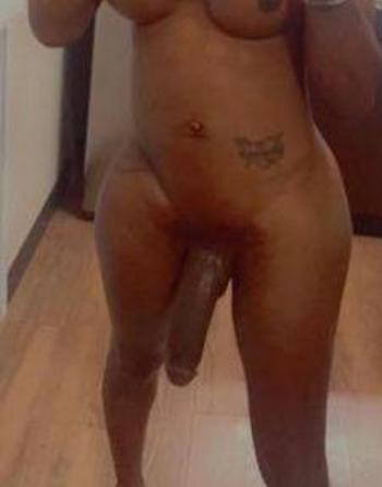 3479042527, transgender escort, Bronx