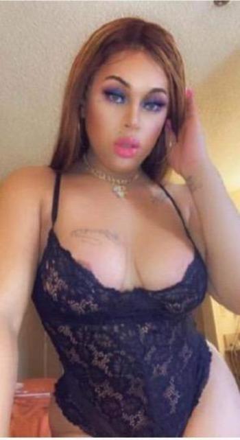 3478517336, transgender escort, Bronx
