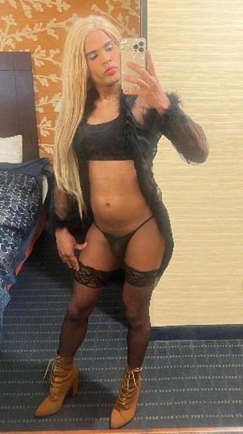 9296312117, transgender escort, Bronx