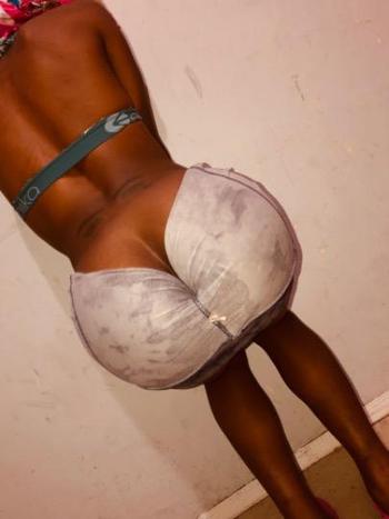 3479535716, transgender escort, Bronx