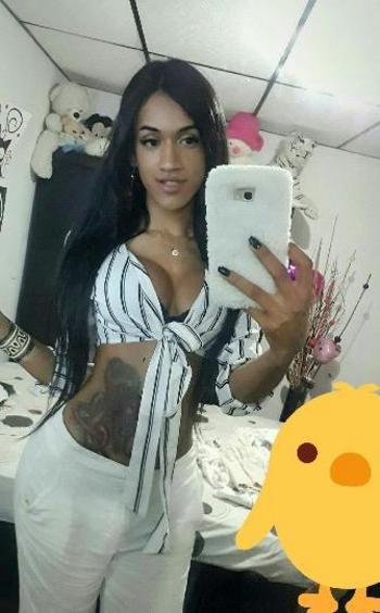 8139424070, transgender escort, Bronx